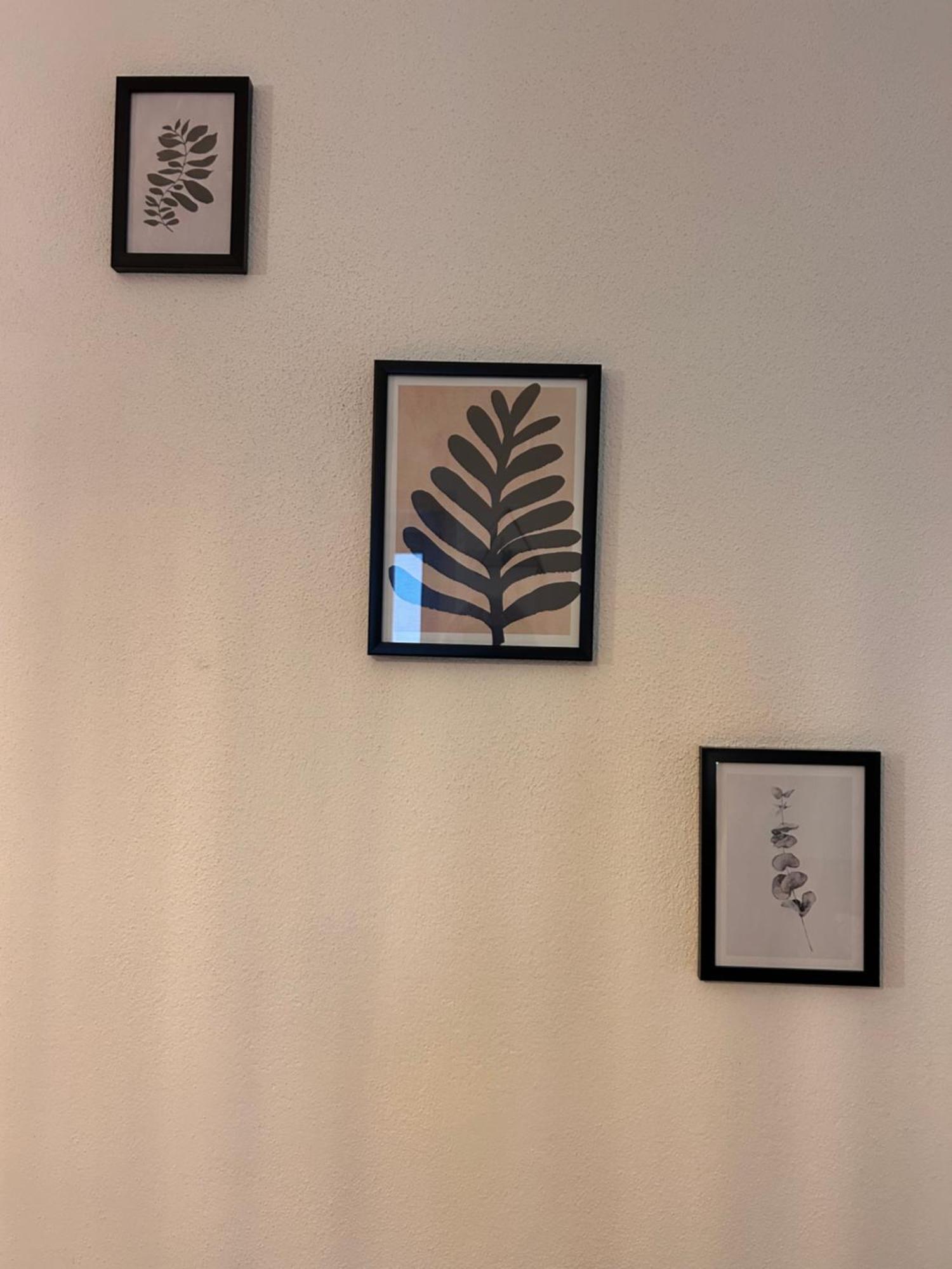 דמונטה Giraluna מראה חיצוני תמונה